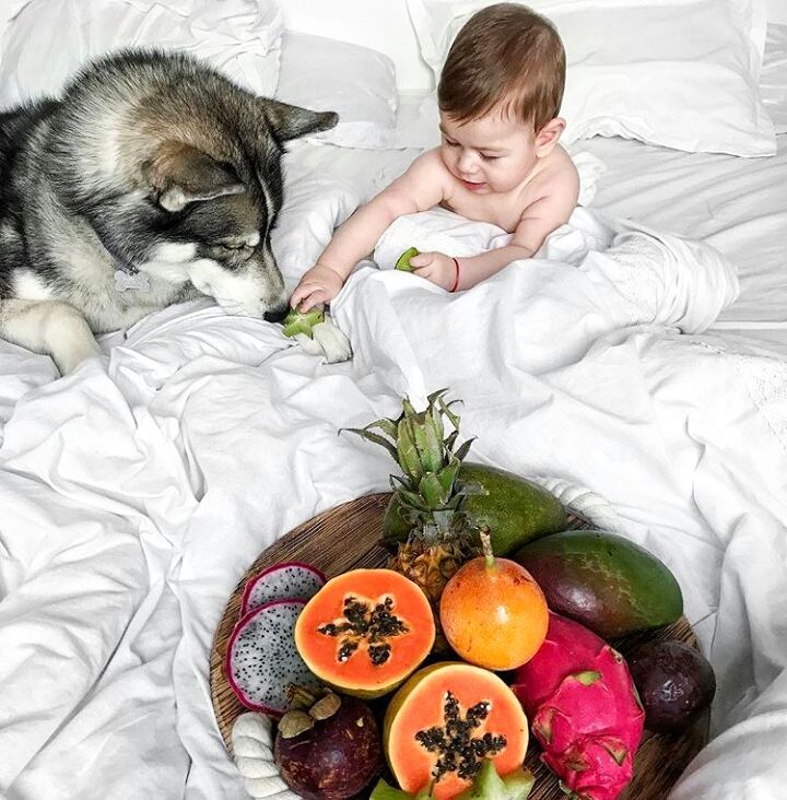7 мифов о продвижении в Instagram