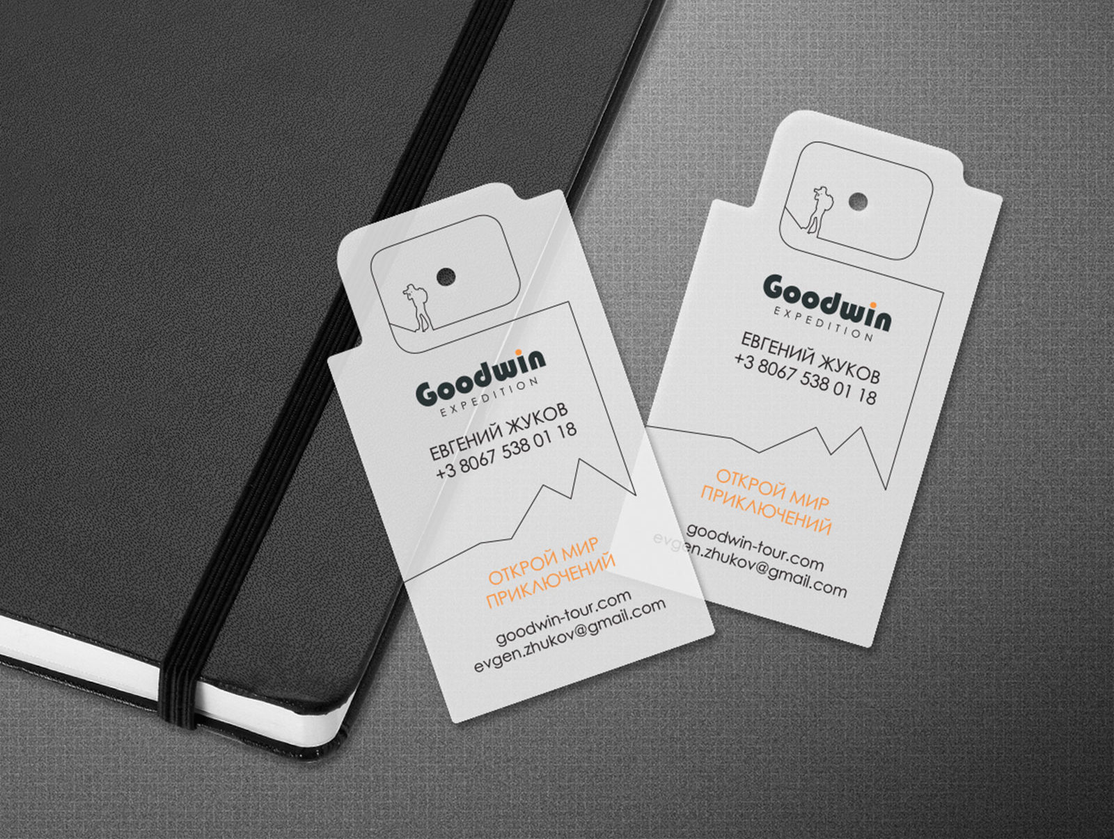 Разработка фирменного стиля для туристической компании Goodwin
