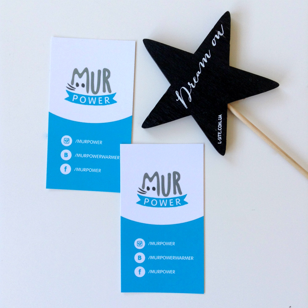 Разработка фирменного стиля для MurPower