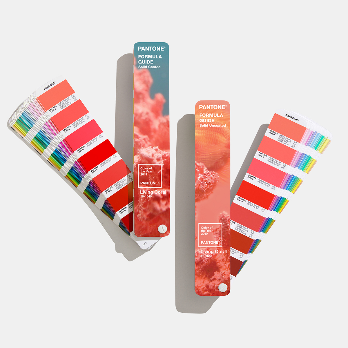 Главный цвет 2019 года от Pantone в дизайне