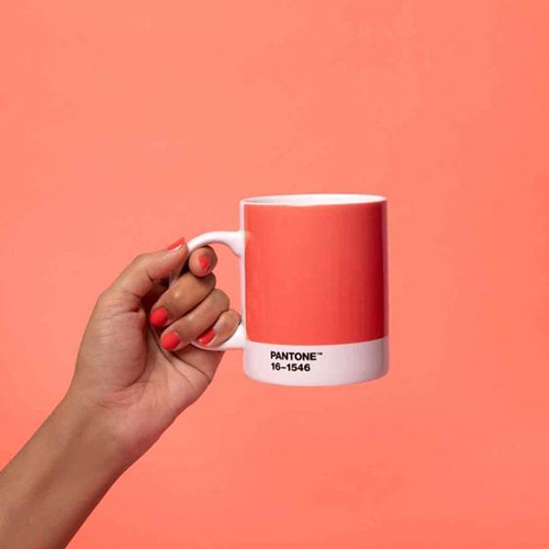 Главный цвет 2019 года от Pantone в дизайне