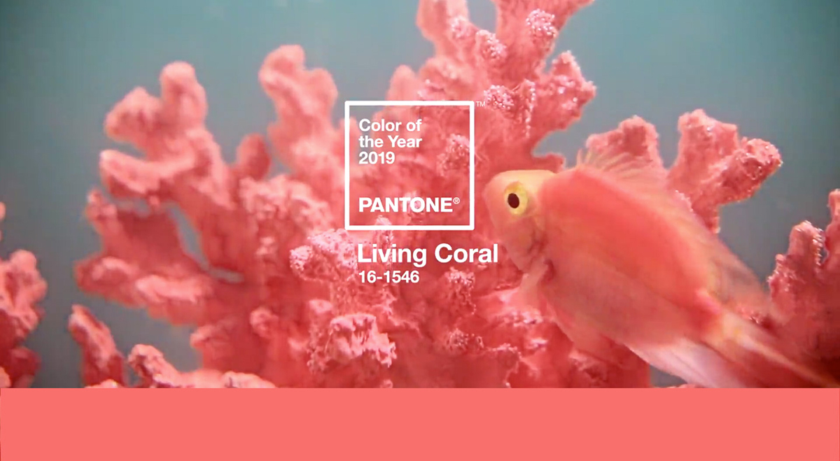 Главный цвет 2019 года от Pantone в дизайне
