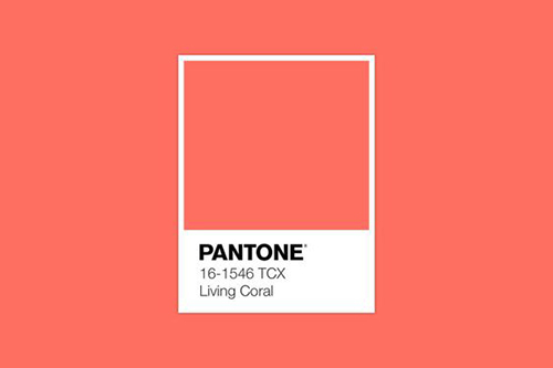 Главный цвет 2019 года от Pantone в дизайне