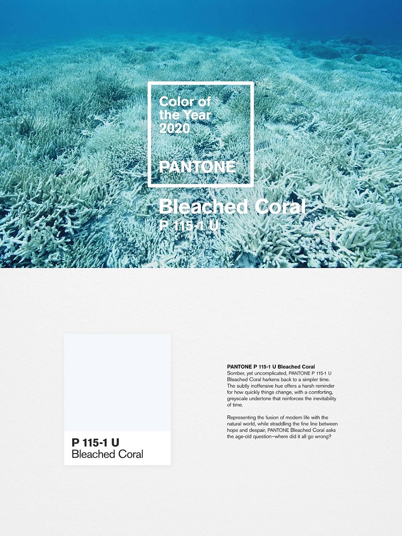 Главный цвет 2020 года от Pantone в дизайне
