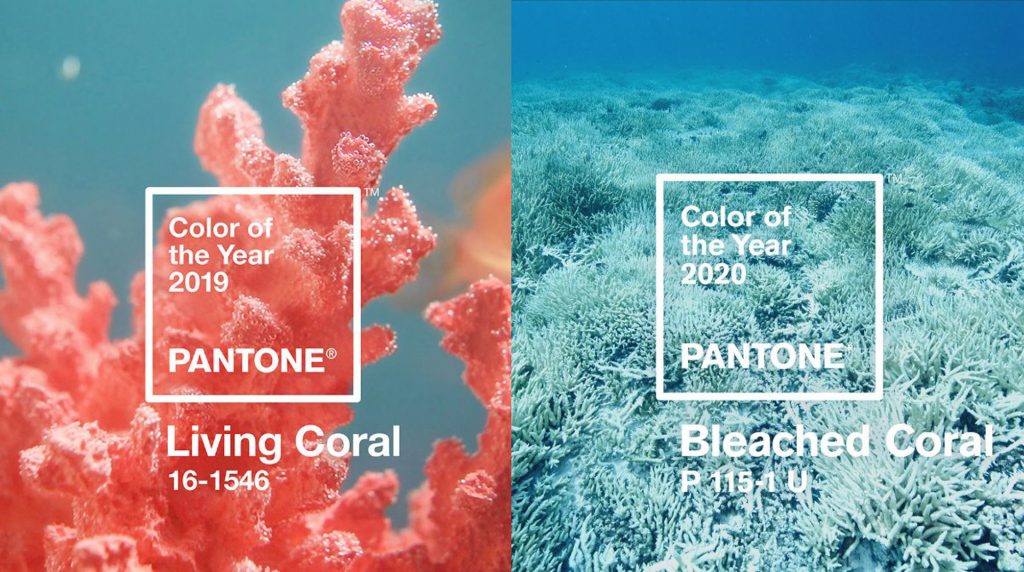 Главный цвет 2020 года от Pantone в дизайне